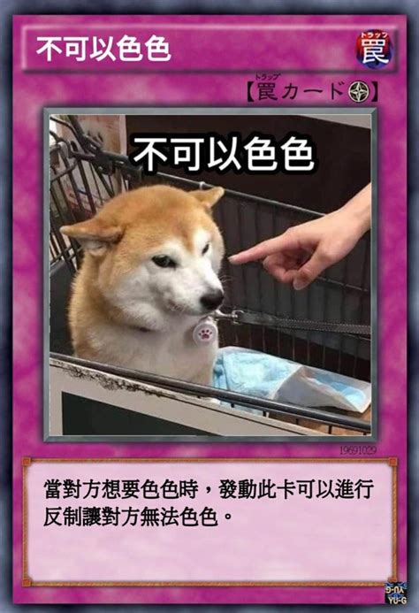 不可色色